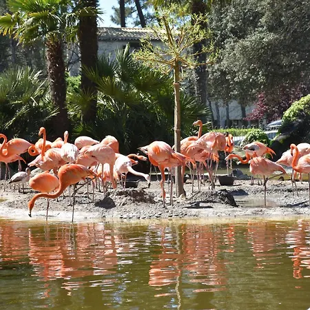 Lägenhet Maison Guy-nadette *